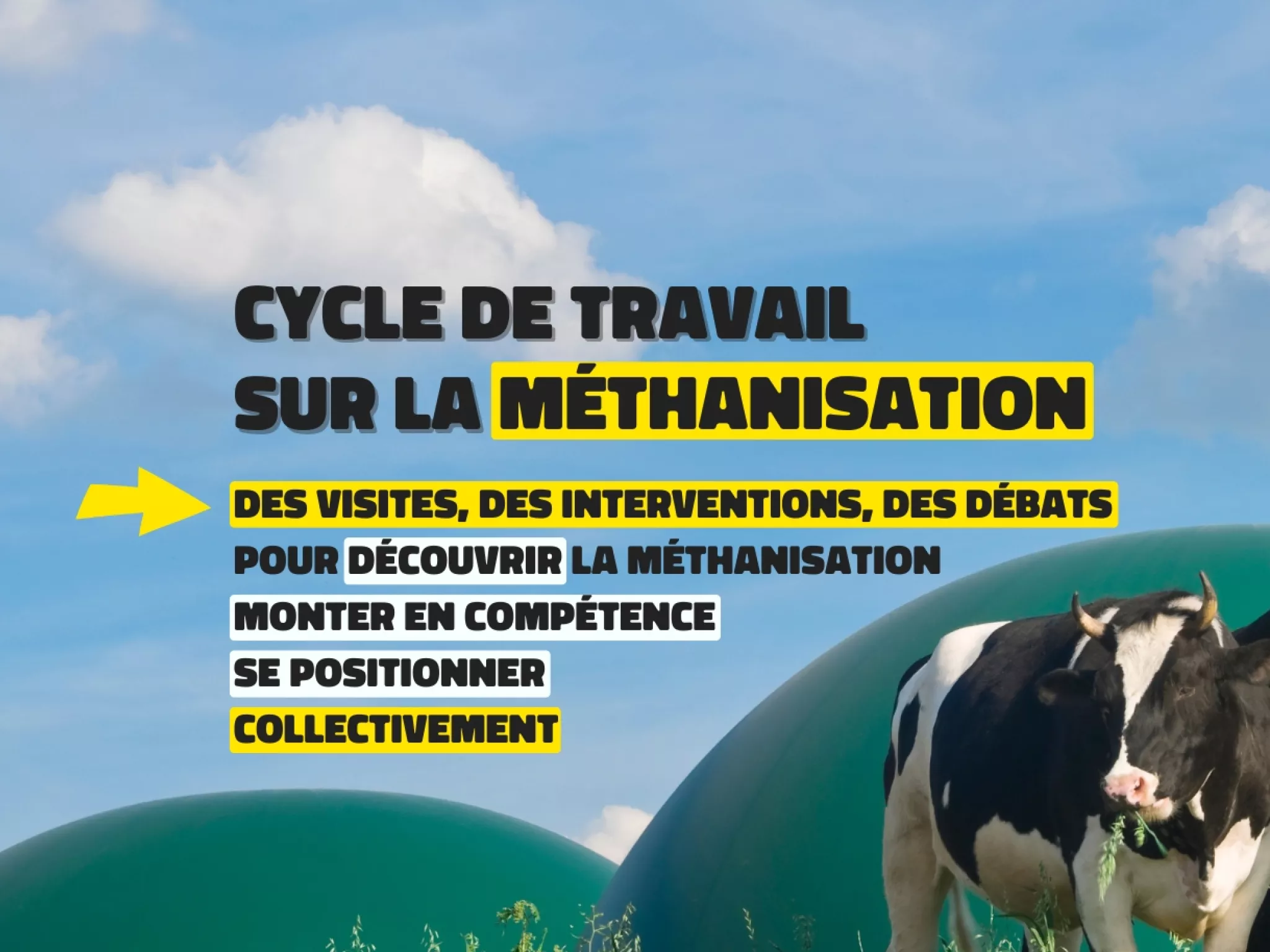 Photo de 2 vaches devant 2 domes de méthaniseur