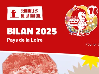 Visuel du document de bilan 2025 de Sentinelles de la Nature