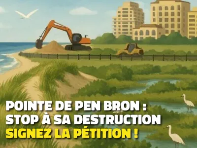 illustration tractopelles dans dune et marais