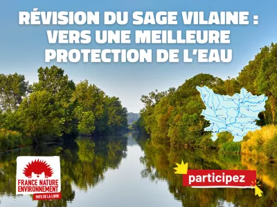 rivière bordée d'arbres