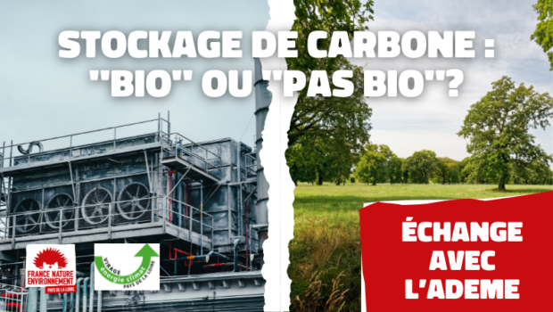 Virage Énergie Climat Pays-de-la-Loire, membre de notre fédération régionale, a organisé une soirée-débat le mardi 15 octobre 2024 pour faire le point sur l’objectif de neutralité carbone et la dimension […]