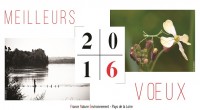 FNE Pays de la Loire vous souhaite une bonne et heureuse année 2016. Découvrez notre carte de vœux 2016 animée en cliquant ici