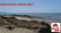 Les bénévoles et les salariés de FNE Pays de la Loire vous souhaitent une Belle et Heureuse année 2017 !