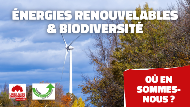 Virage Énergie Climat Pays-de-la-Loire, membre de notre fédération régionale, a organisé une soirée-débat le 21 mai 2024 pour faire un point sur la planification énergétique française et interroger les liens […]