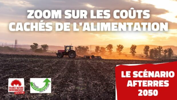 Virage Énergie Climat Pays-de-la-Loire, membre de notre fédération régionale, a organisé une soirée-débat le 25 juin 2024 pour échanger sur notre système alimentaire avec Caroline Gibert, responsable agroécologie & biodiversité […]