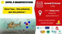 Plusieurs associations de protection de l’environnement organisent une manifestation pour l’eau le samedi 22 février à Redon (44). FNE Pays de la Loire appelle à rejoindre cette mobilisation, qui vise […]