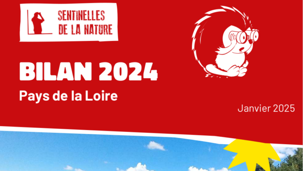 308 signalements, 163 nouvelles sentinelles, plus de 160 heures de bénévolat… découvrez le bilan illustré de l’animation de la plateforme Sentinelles de la Nature dans la région Pays de la […]